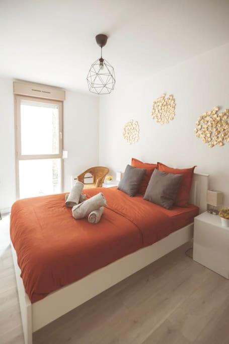 Le Cocon Manceau Apartamento Le Mans Exterior foto